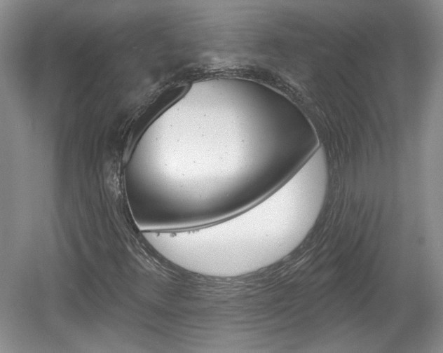 X0000061751348200512021101