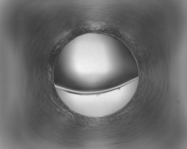 X0000061751349200512021101