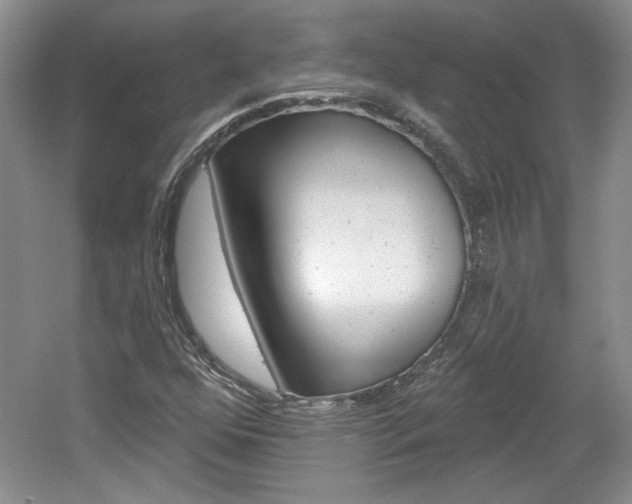 X0000061751352200512021101