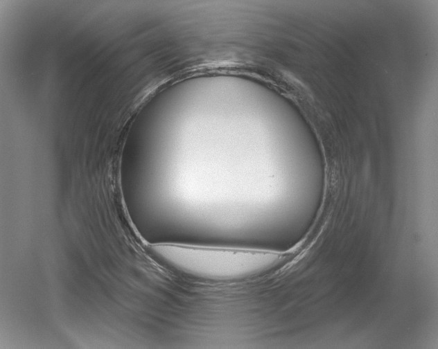 X0000061751353200512021101