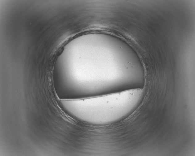 X0000061751355200512021101