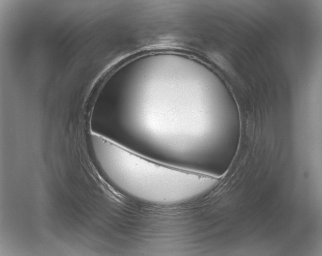 X0000061751356200512021101