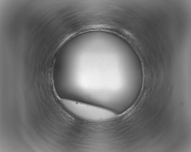 X0000061751361200512021101