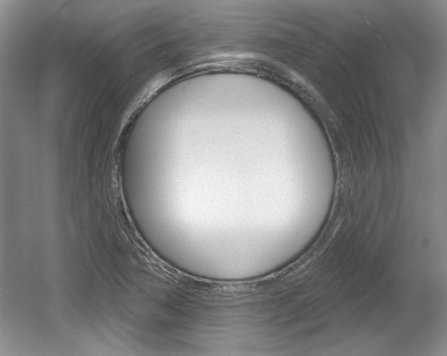 X0000061751362200512021101