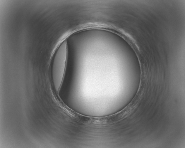 X0000061751365200512021101
