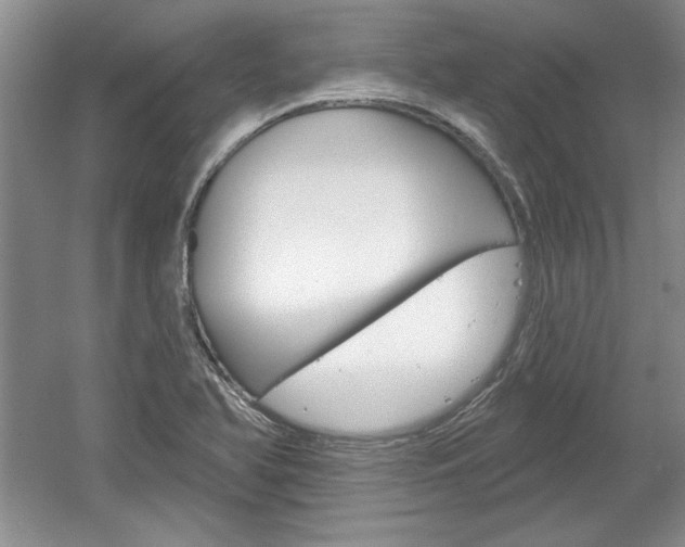 X0000061751366200512021101