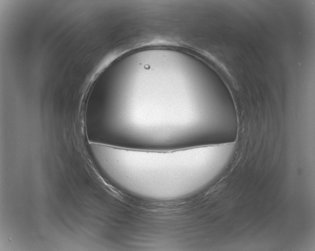 X0000061751367200512021101
