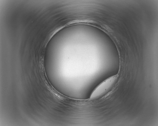 X0000061751369200512021100