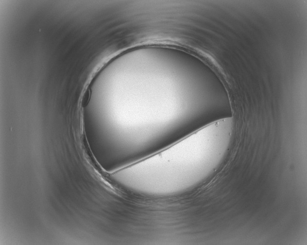 X0000061751371200512021100