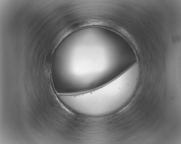 X0000061751377200512021100