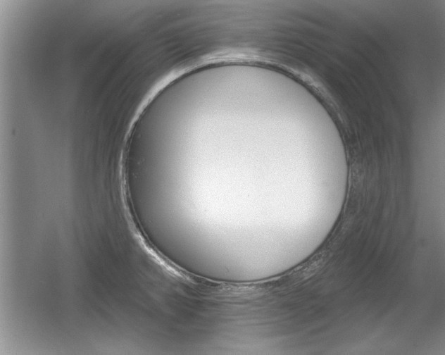X0000061751382200512021100