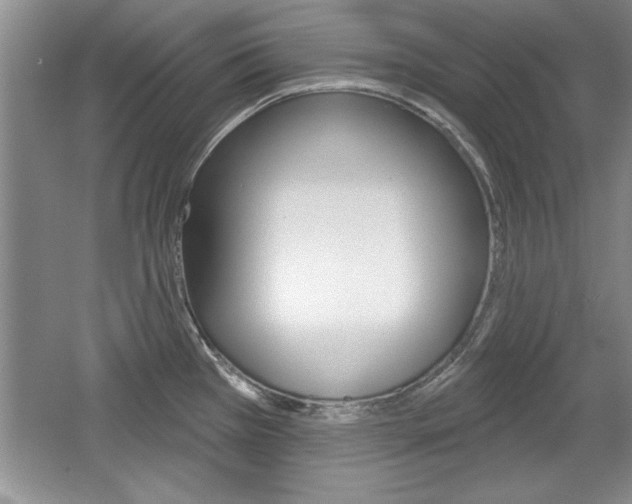 X0000061751385200512021100