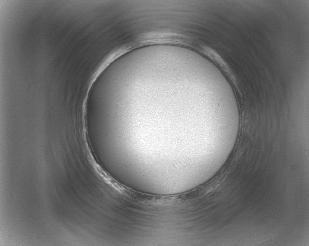 X0000061751386200512021100