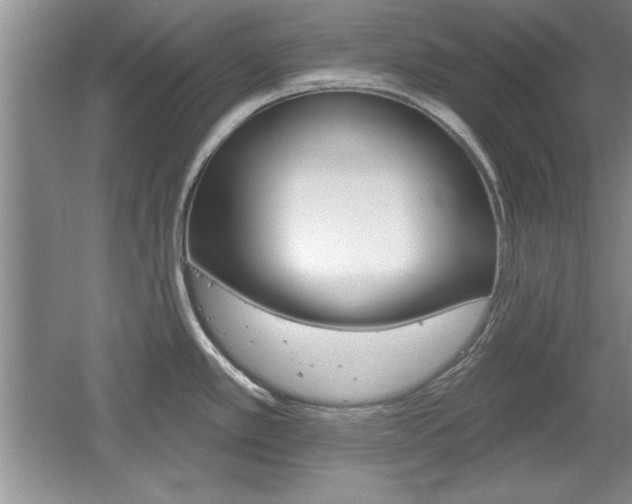 X0000061751389200512021100
