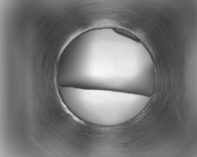 X0000061751390200512021100