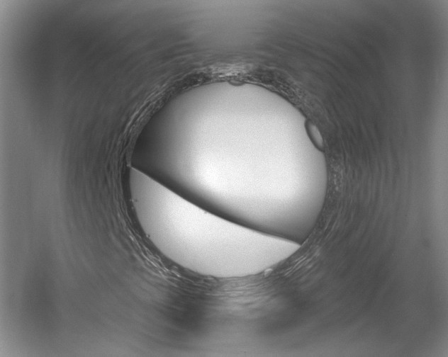 X0000061751393200512021059