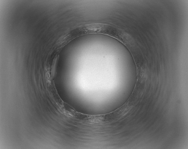X0000061751394200512021059