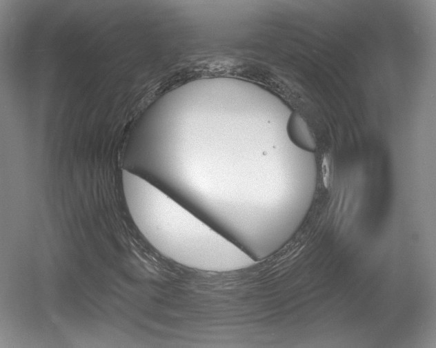 X0000061751395200512021059