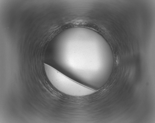 X0000061751396200512021059