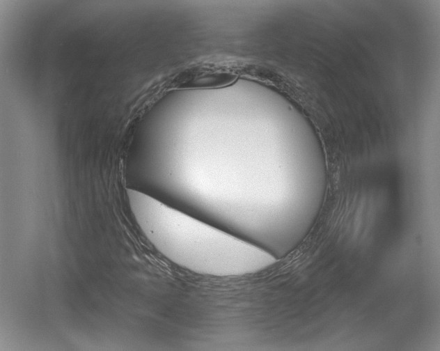 X0000061751397200512021059