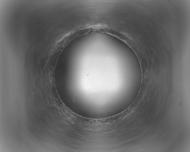 X0000061751398200512021059