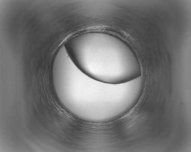 X0000061751401200512021059