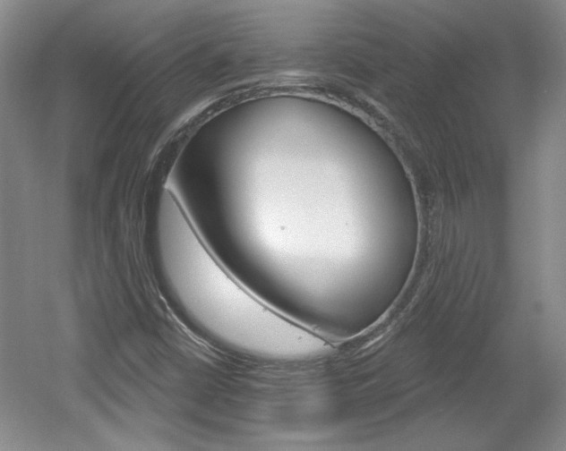 X0000061751402200512021059
