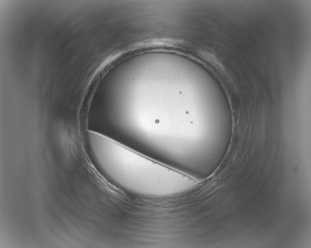 X0000061751404200512021059