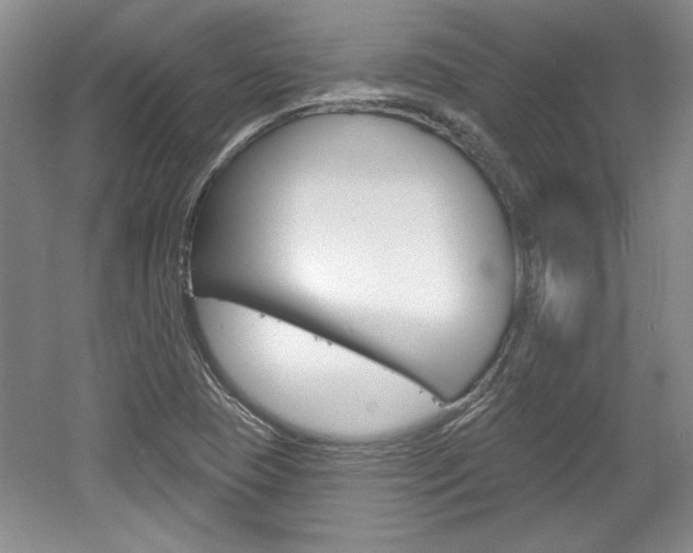 X0000061751409200512021100