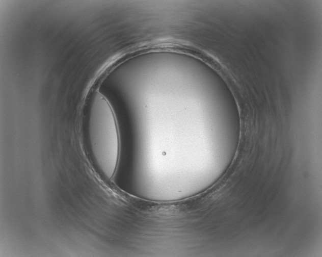 X0000061751410200512021100
