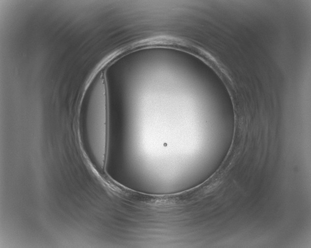 X0000061751418200512021100
