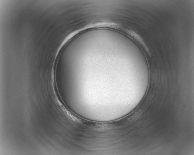 X0000061751420200512021100