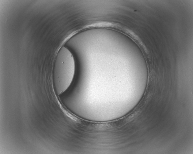 X0000061751425200512021100