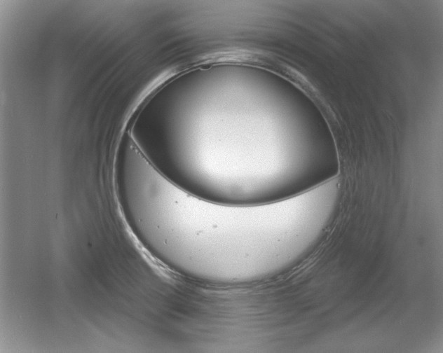 X0000061751426200512021100