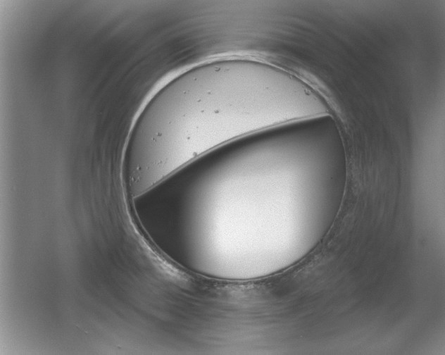 X0000061751428200512021100