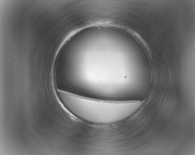 X0000061751432200512021100