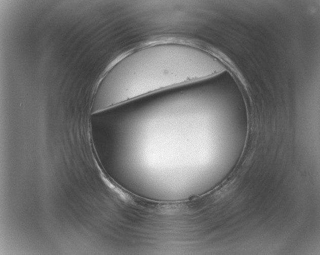 X0000061751433200512021100
