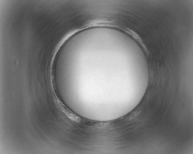 X0000061751435200512021100
