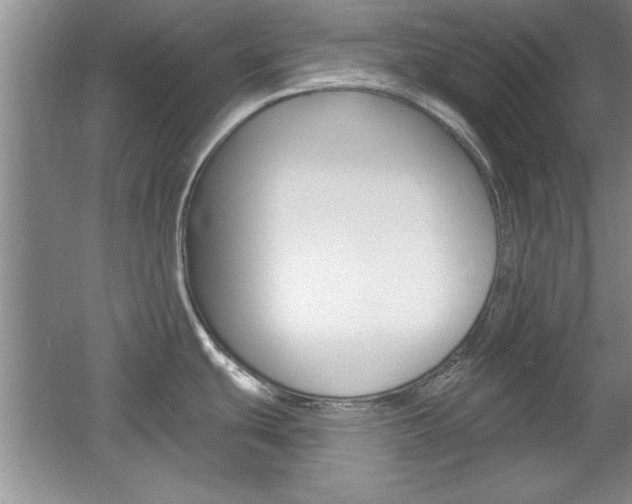 X0000061751439200512021100
