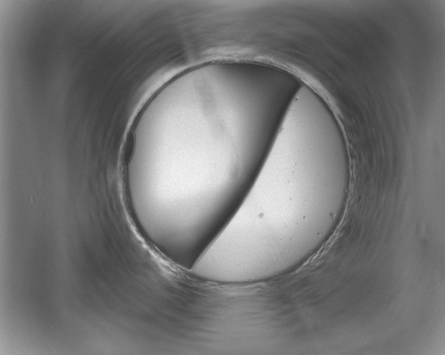 X0000061751440200512021100