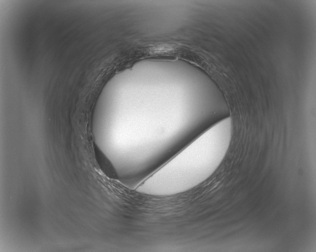 X0000061751441200512021059