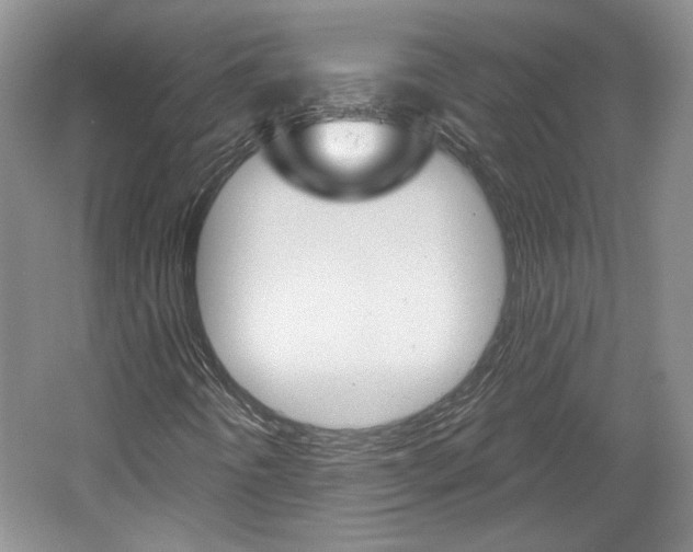 X0000061751442200512021059