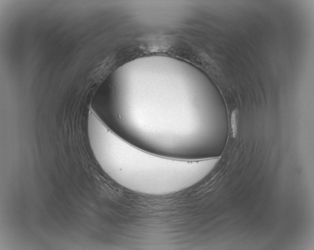 X0000061751443200512021059
