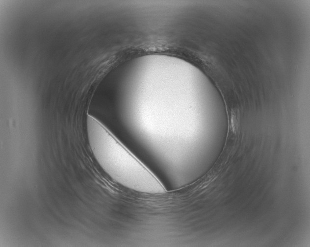 X0000061751444200512021059