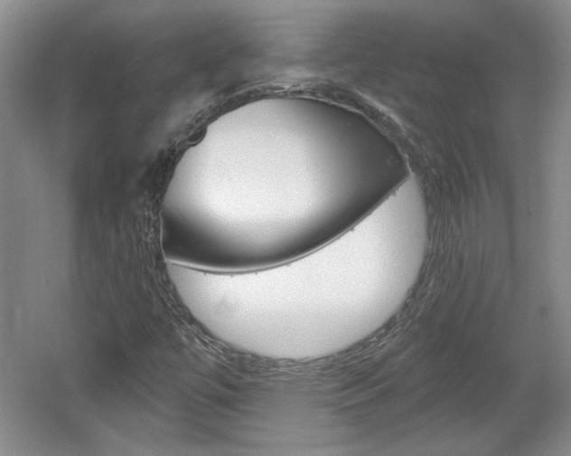 X0000061751447200512021059