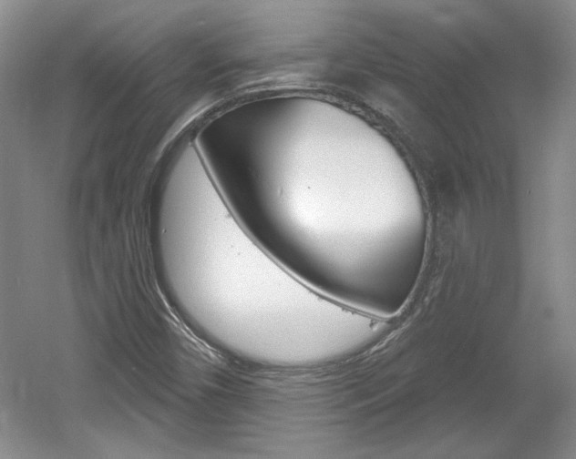 X0000061751450200512021059