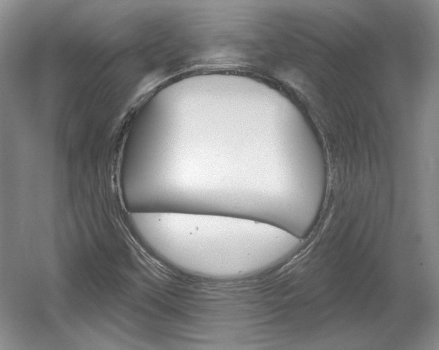 X0000061751451200512021059