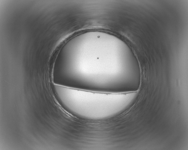 X0000061751452200512021059