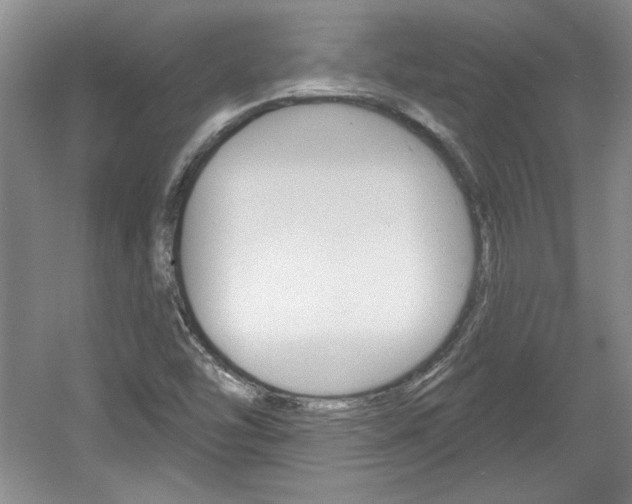 X0000061751454200512021059