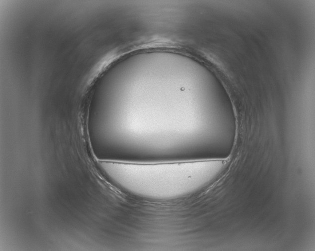 X0000061751455200512021059